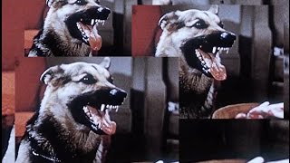 Friend Roulette - Just Woke Up (Fucked Up) [Official Music Video]