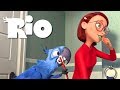 Blue And Linda S Morning RIO 1080p