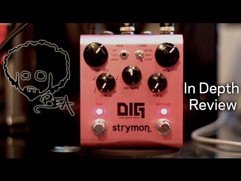 strymon dig