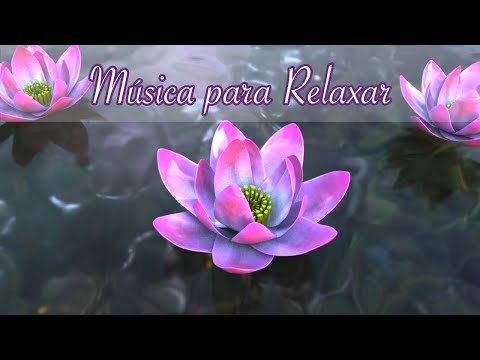 Música Relaxante - Flor de Lotus