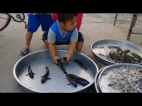 Đồ chơi trẻ em bé pin đi chợ mua cá ❤ PinPin TV ❤ Baby toys market fish