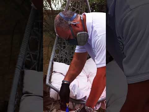 תמונה של פסט אאוט