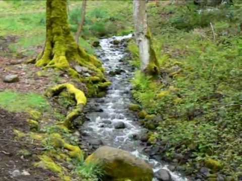 Howling Gael - Breton Suite