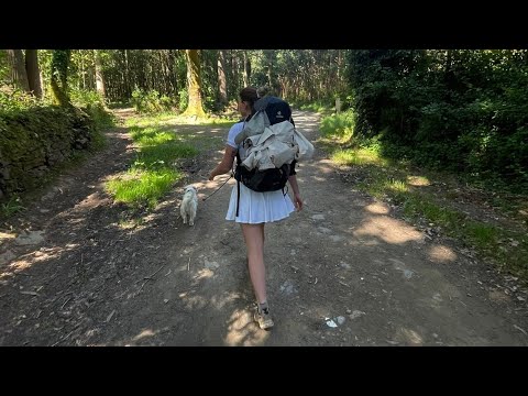 Camino del Norte: Mein Jakobsweg mit Hund – Eine Reise zur eigenen Vision.