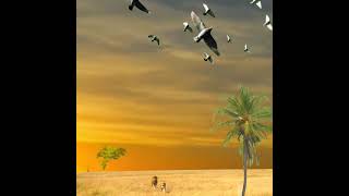 Download lagu singa green screen, chroma key mp3