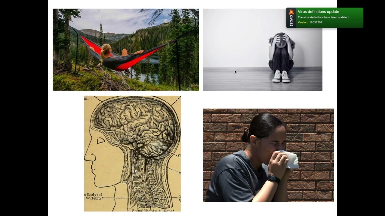 Excerpt from the Power Path's Shamanic Mindfulness online course