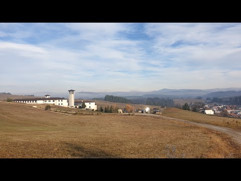 Konferencja Dariusza Hybla – 12.11.2021