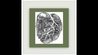 Wolf Eyes - No Answer : Lower Floors