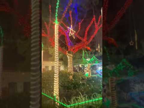 #colombia #arbolesdenavidad #feliz #sanjerónimo #navidad un lindo dia en San Jerónimo, Antioquia