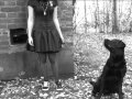 Puscifer REV 22 20 Fan Video