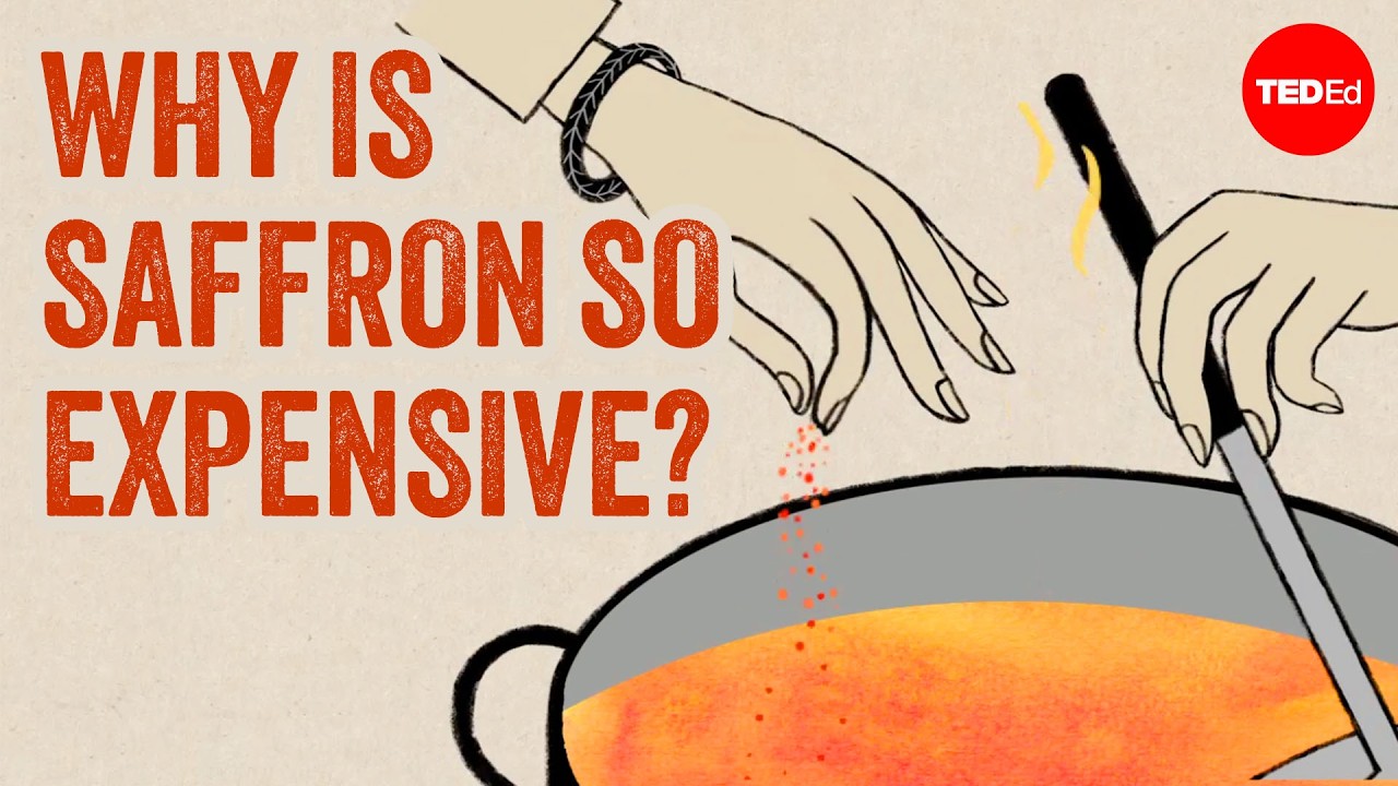Why is saffron so expensive? - Carolyn Beans