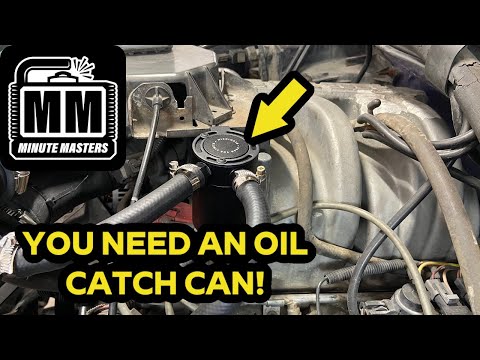 A MUST HAVE / How to Install an Oil Catch Can - Mishimoto 2 Port Catch Can | 1995 Ford F150