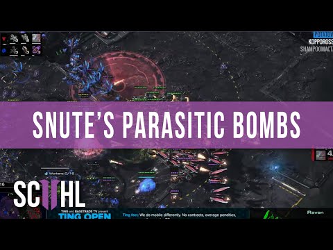 Snute's MASSIVE Parasitic Bombs - Ting Open