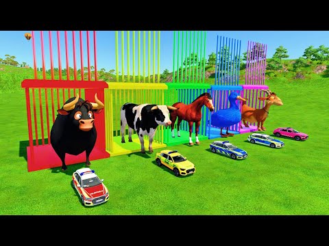 RESCUE ANIMALS - TRANSPORTING FERDINAND COWS, DAIRY COWS, HORSES, DUCKS, GOATS WITH POLICE CARS FS22