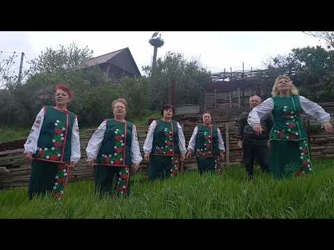 "Лелеки білокрилі" "Коблівчанка"