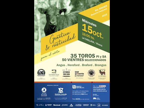 15/10/2025  Genetica y Rusticidad (Cabaña) - Gastón Araujo Agronegocios / Local La Caillava - Rivera