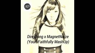 DingDong x MagnetNoize (YoursFaithfully MashUp) - DJ FAITH
