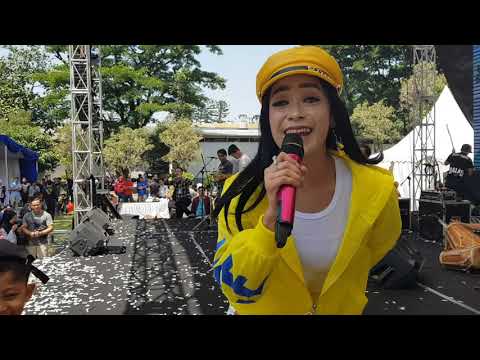 DAUN PUSPA ( Tika zeins ) Bintang pantura 3