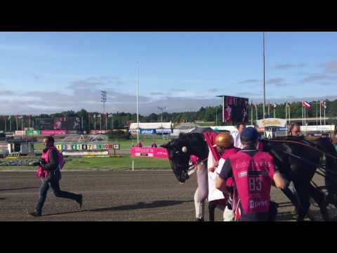 Nuncio Elitloppsvinnare 2016