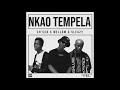 Nkao Tempela - Ch'cco ft Mellow & Sleazy      #nkaotempela