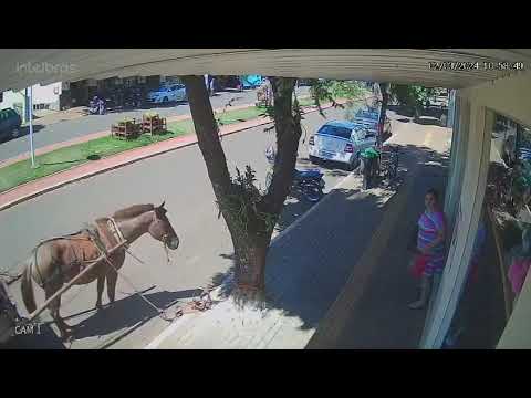 Vereador é mordido por cavalo no Centro de São Manoel do Paraná
