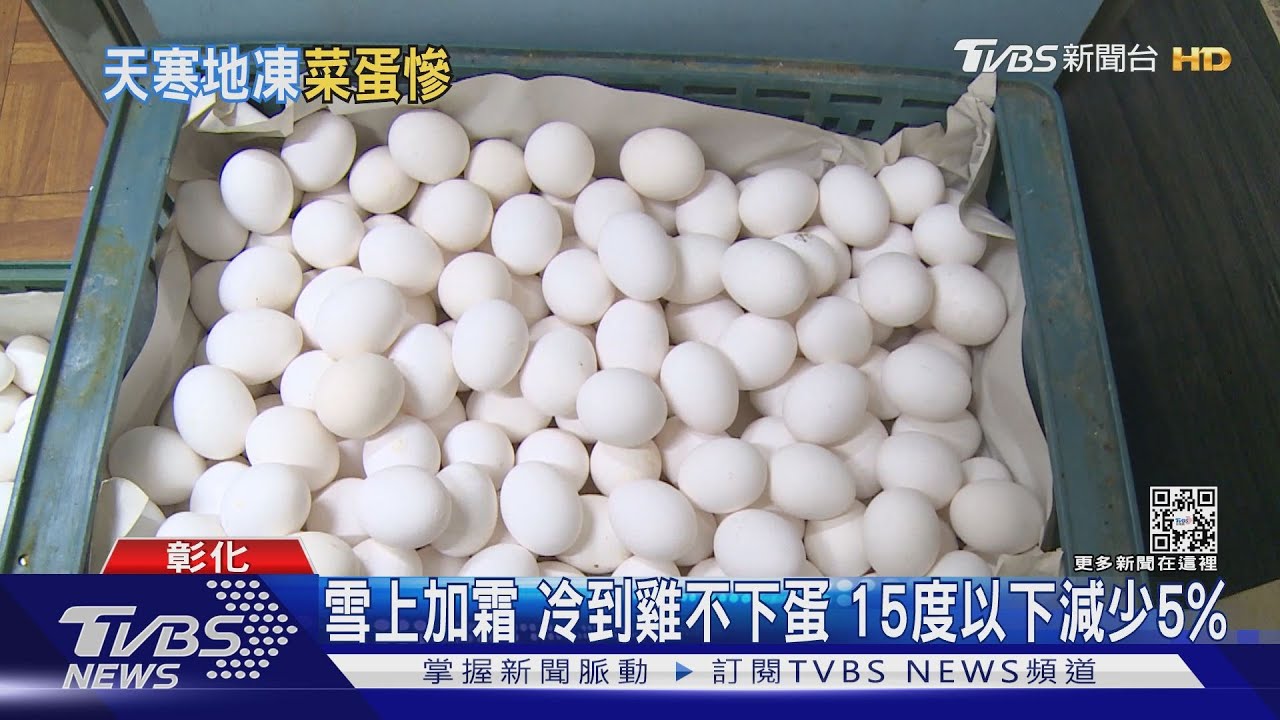 雪上加霜冷到雞不下蛋 15度以下減少5%