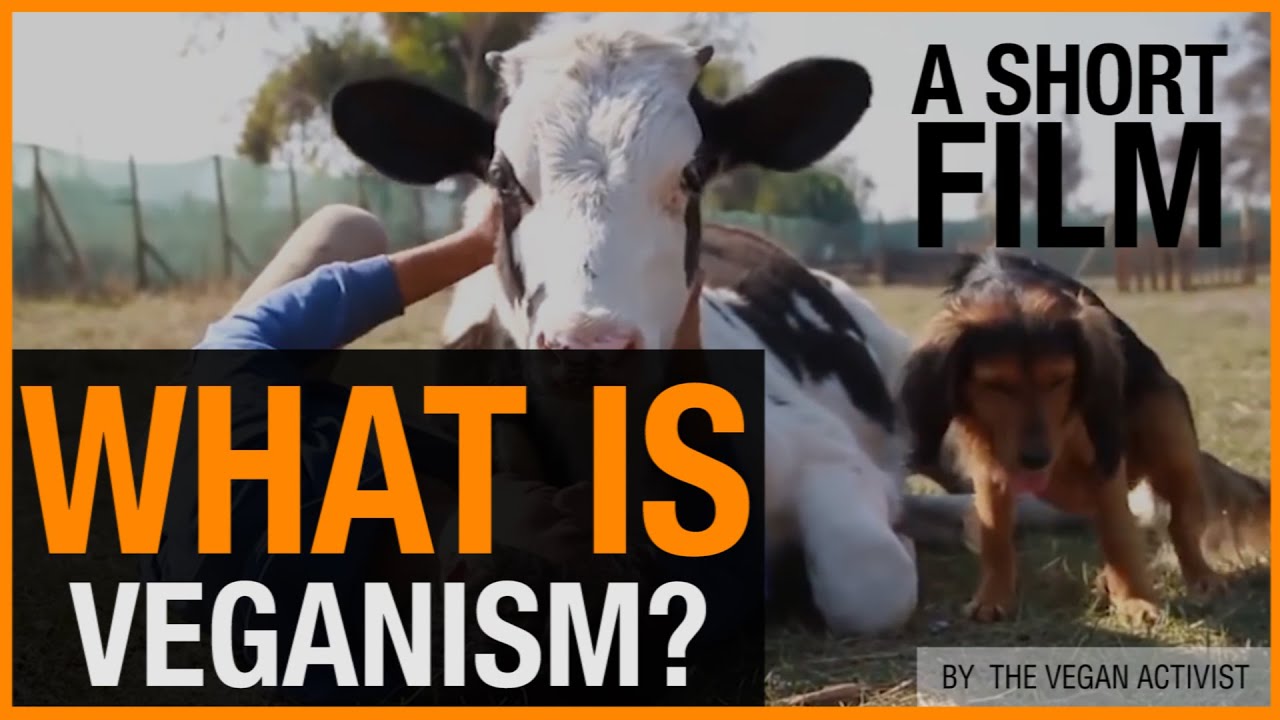 What Is Veganism? (+ Why You Should Be Vegan)