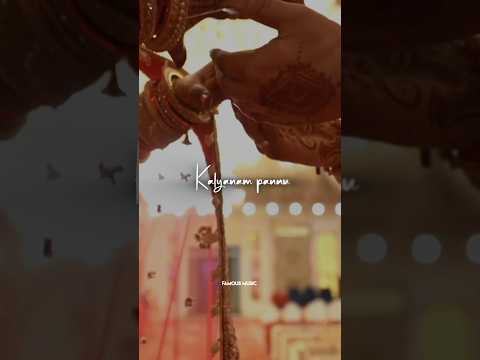 ❤️😉kadhal panna thimiru iruka whatsapp status😍 | Famous music 🎶 | #status #shorts #love #FMYstatus