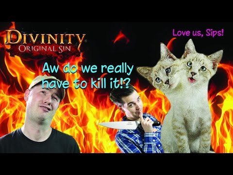 Divinity Original Sin: Two Headed Fire Boss (Part 46) Team Double Dragon