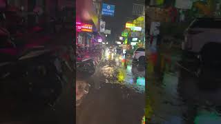 ライブ ハイライト