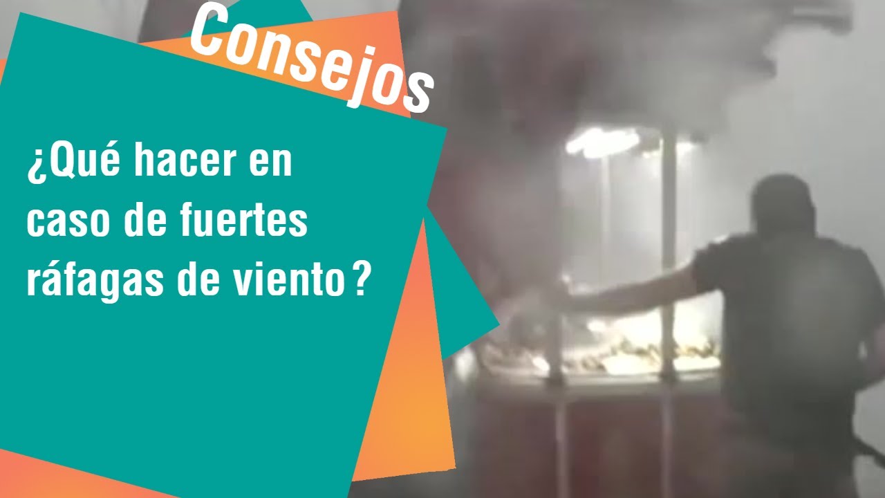 ¿Qué hacer en caso de fuertes ráfagas de viento? | Consejos