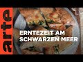 Schwarzmeerküste Türkei Zu Tisch ARTE Family