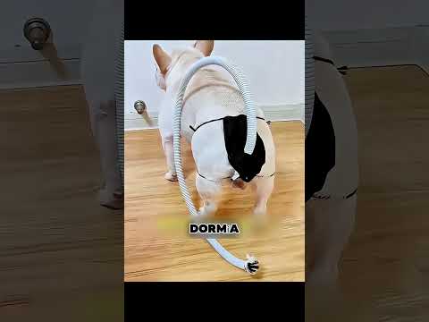 Cada 7 minutos… ¡Desastre! 💀