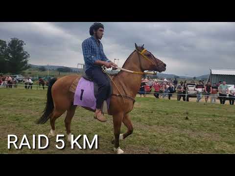 RAID 5 KM ...PISTA LAS SIERRAS LAVALLEJA  SOLIS DE MATAOJO  22/9/2024