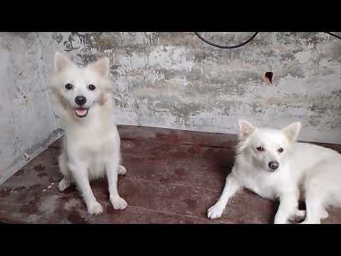 Hansika bacche bhejte bhi hai bahut saste mein de dunga aap log ke liye