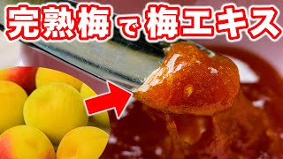 【梅仕事】完熟梅で超食べやすい梅エキスの作り方。毎日の健康習慣に！