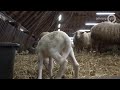 Gelderland Helpt 26 maart 2019