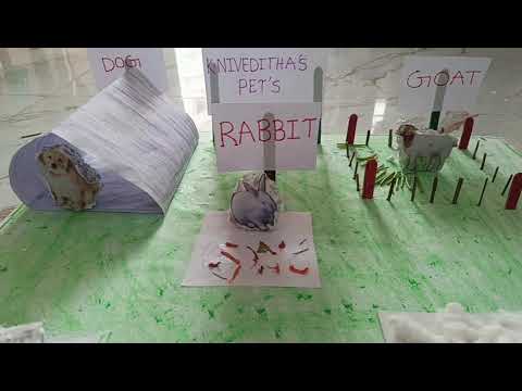 Niveditha PET'S HOUSE 🏠 Activity @ Navyasree speech therapy & child development center