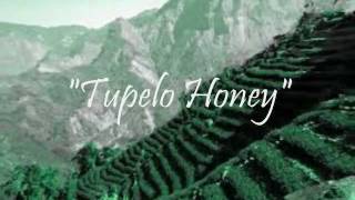 Tupelo Honey - Van Morrison