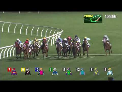 白鷺飛翔21/12/15……(257)第五塲四班1800米