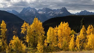 Autumn Splendor: A Cinematic Journey Through Colorado's Million Dollar Highway