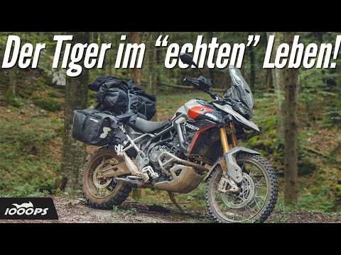 Zu schwer, zu lasch, oder genau richtig? - 1200 km Offroad-Reise mit der Triumph Tiger 900 Rally Pro