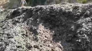 alghe-alla-baia-di-trentova-chiesto-l-intervento-dell-arpac