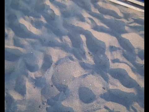 Zik In The City : Taranto #1