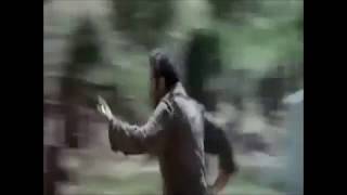 ABSOLUTELY CURTAINS - PINK FLOYD