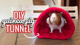 DIY Guinea Pig Tunnel | Pigmas 2023