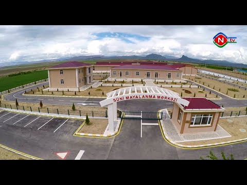 Bərəkət - Suni mayalanma mərkəzi 02.02.2021