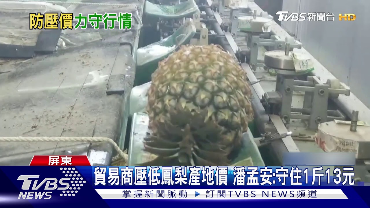 貿易商壓低鳳梨產地價 潘孟安:守住1斤13元