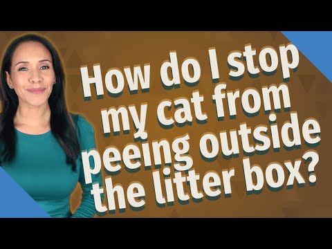How do I stop my cat from peeing outside the litter box?