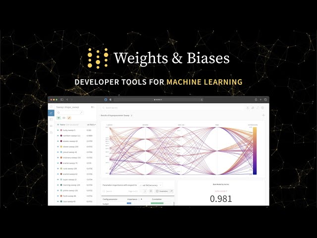 Weights & Biases product / service